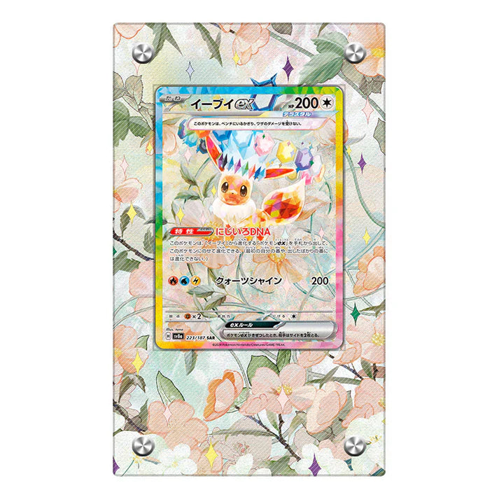 Eevee ex Protective Acrylic Display Case