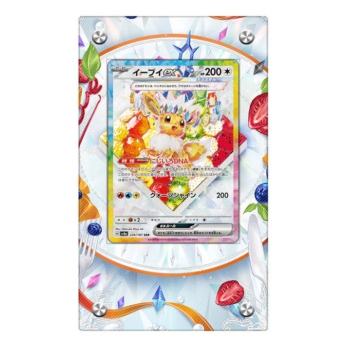 Eevee Ex 224/187 Protective Acrylic Display Case